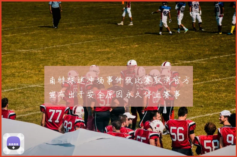 南特球迷冲场事件致比赛取消官方宣布出于安全原因永久停止赛事