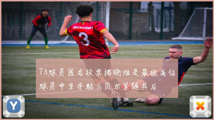 TA球员匿名投票揭晓谁是最被高估球员申京夺魁戈贝尔紧随其后